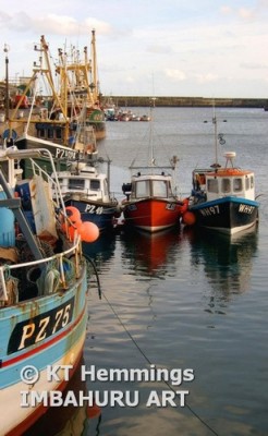 [newlynharbourboats - ]